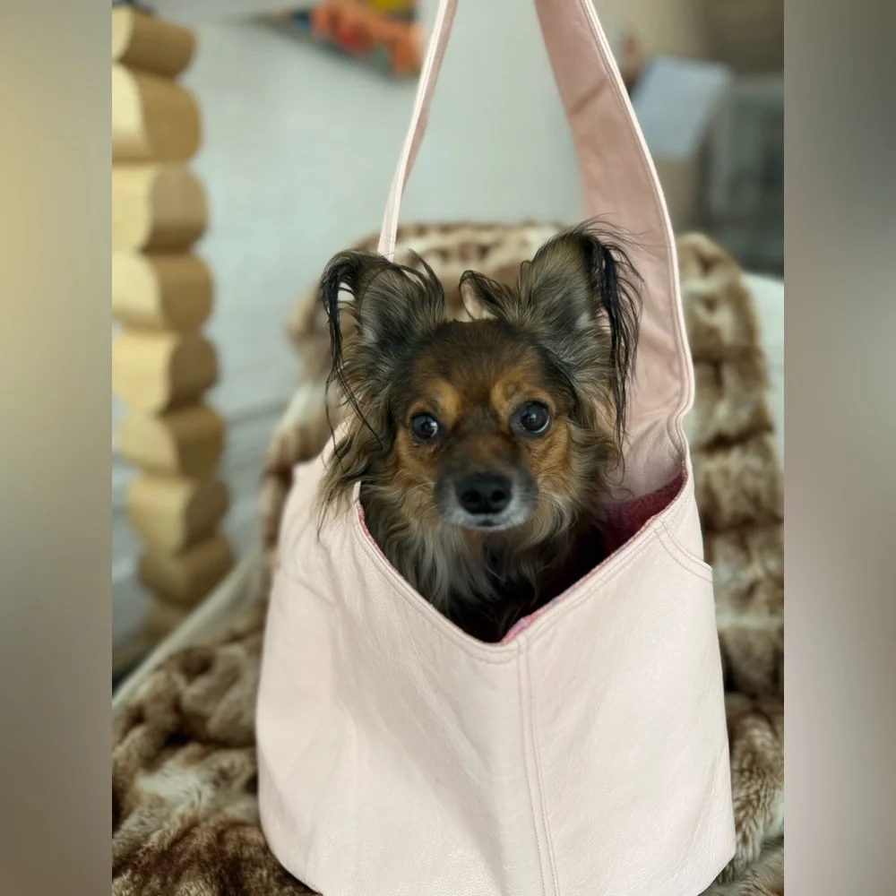 FANG & BONE faux leather cross body sling pet carrier